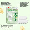 Plastry MORINGA z berberyną i mikro-NAD+